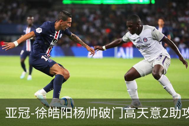 亚冠-徐皓阳杨帅破门高天意2助攻 申花2-1淡滨尼流浪者